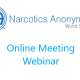 NA World Services Online Meeting Webinar