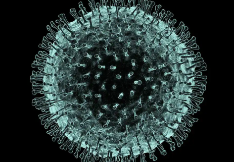 Image of Covid19 Novel Corona Virus
